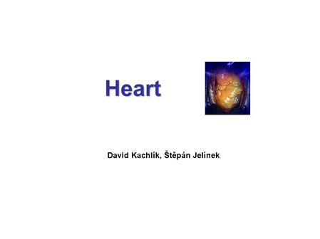 Heart David Kachlík, Štěpán Jelínek. Heart situation.