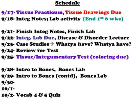 Schedule 9/17- Tissue Practicum, Tissue Drawings Due 9/18- Integ Notes; Lab activity (End 1 st 6 wks) 9/21- Finish Integ Notes, Finish Lab 9/22- Integ.