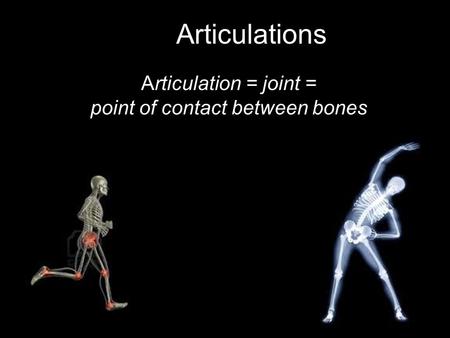 Articulations Articulation = joint = point of contact between bones.