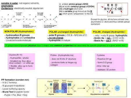 Soluble in water, not organic solvents, amphoteric, Zwitterions- electrically neutral, dipolar ion - hydrocarbon R groups - hydrophobic and unreactive.