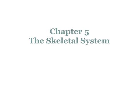 Chapter 5 The Skeletal System