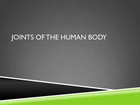 Joints of the Human Body