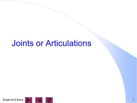 Suzanne D'Anna1 Joints or Articulations. Suzanne D'Anna2 Structural Classification l Based on: - presence or absence of a joint cavity between bones -