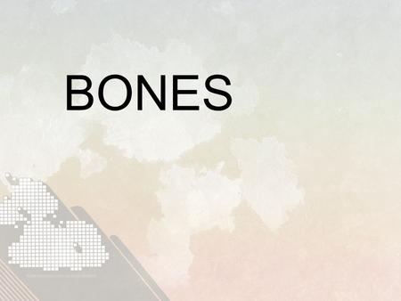 BONES. Functions 1.Provides framework for form and shape of the body (Prevents soft tissue from collapsing) 2.Provide points of attachment for muscles.