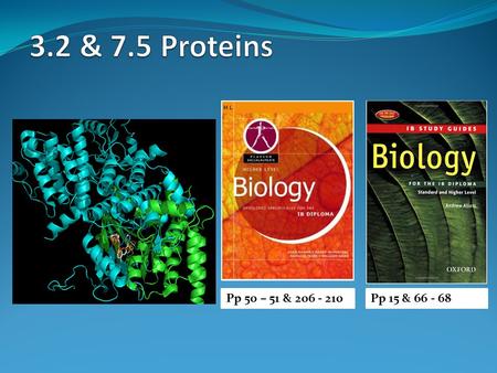 Pp 50 – 51 & 206 - 210Pp 15 & 66 - 68. Proteins Proteins are polymers of amino acids Each has a unique 3D shape Amino acid sequences vary Proteins are.