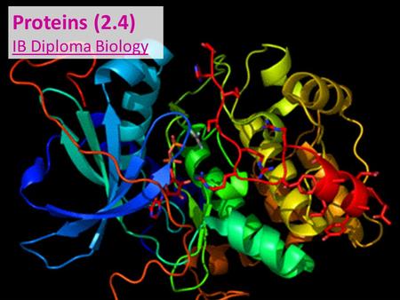 Proteins (2.4) IB Diploma Biology. Amino Group (-NH 2 ) Carboxylic Acid Group (-COOH) A generalized amino acid The amino group is one of the reasons why.