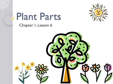 Plant Parts Chapter 1, Lesson 6.