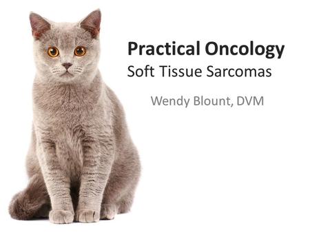 Practical Oncology Soft Tissue Sarcomas Wendy Blount, DVM.