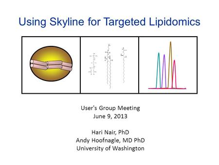 Using Skyline for Targeted Lipidomics