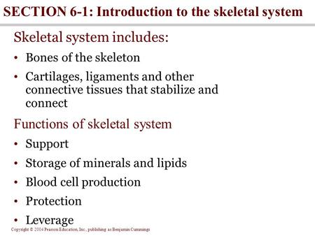 Copyright © 2004 Pearson Education, Inc., publishing as Benjamin Cummings Skeletal system includes: Bones of the skeleton Cartilages, ligaments and other.