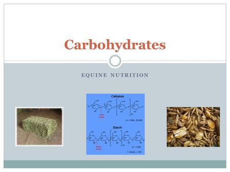 Carbohydrates Equine Nutrition.