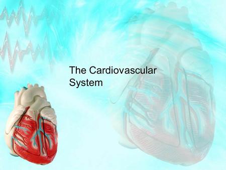 The Cardiovascular System