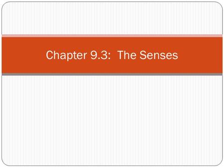 Chapter 9.3: The Senses. Taste Pathways Facial, Glossopharyngeal and Vagus Trigeminal—gives us “peppery and spicy hot” Several thousand times more sensitive.