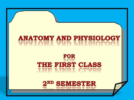 Anatomy and Physiology