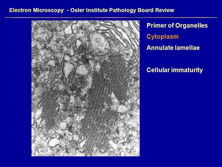 Electron Microscopy - Osler Institute Pathology Board Review