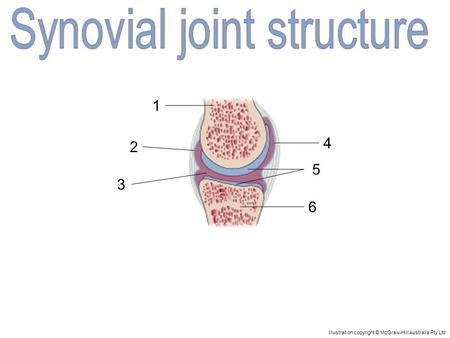 1 5 4 3 2 6 Illustration copyright © McGraw-Hill Australia Pty Ltd.