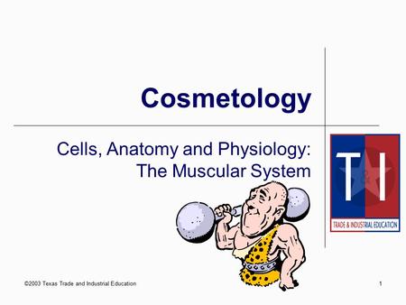 Cells, Anatomy and Physiology: The Muscular System