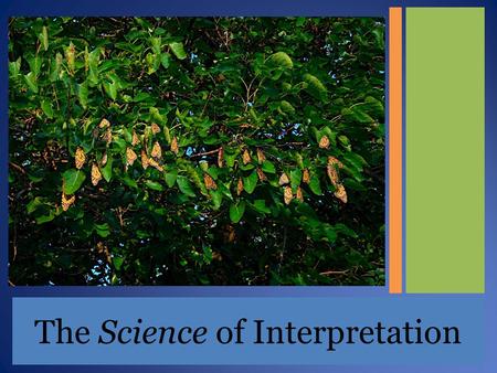 The Science of Interpretation. Interpretation is a communication process that forges emotional and intellectual connections between the interests of the.