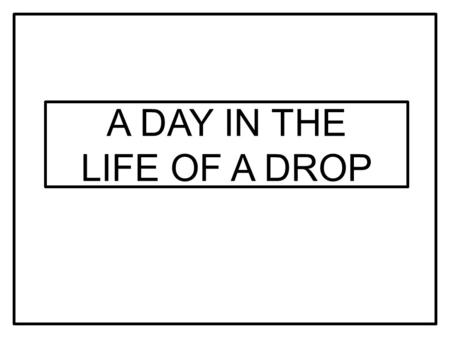 A DAY IN THE LIFE OF A DROP. DANCE OF LITTLE DROPS - ARIJANA TKALČEC.