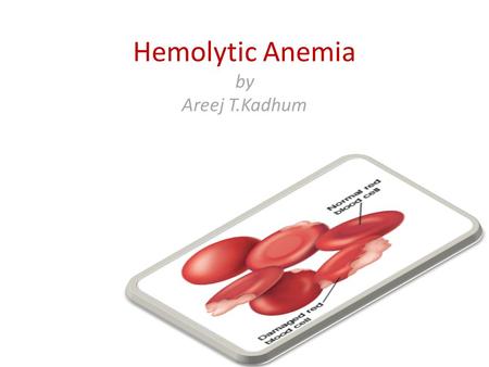 Hemolytic Anemia by Areej T.Kadhum. Haemolysis Normal life span of a RBC is 120 days (80-90 days in a full term infant). Senescent RBC is detected & cleared.