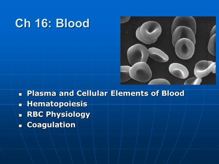 Ch 16: Blood Plasma and Cellular Elements of Blood Hematopoiesis