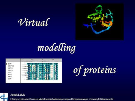 Virtual modelling of proteins Jacek Leluk Interdyscyplinarne Centrum Modelowania Matematycznego i Komputerowego, Uniwersytet Warszawski.