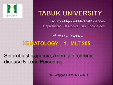 Faculty of Applied Medical Sciences Department Of Medical Lab. Technology 2 nd Year – Level 4 – AY 1433-1434 1 Mr. Waggas Ela’as, M.Sc, MLT.