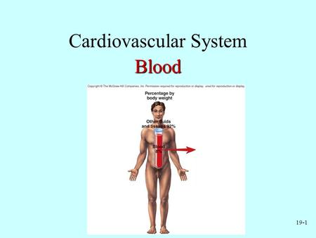 Cardiovascular System