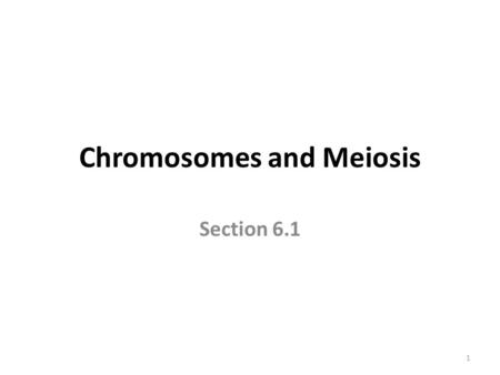 Chromosomes and Meiosis