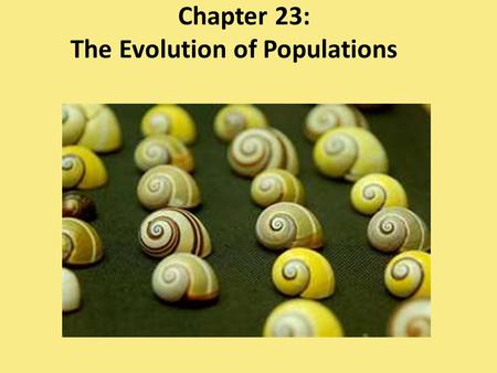 Chapter 23: The Evolution of Populations