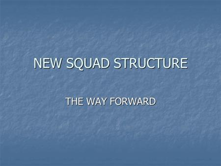 NEW SQUAD STRUCTURE THE WAY FORWARD. WHY? NEED TO CREATE SPACE FOR MORE SWIMMERS FROM ACADEMIES NEED TO CREATE SPACE FOR MORE SWIMMERS FROM ACADEMIES.