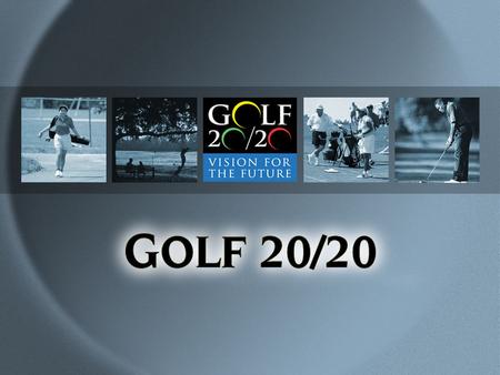 RICHARD SINGER Director of Consulting Services, National Golf Foundation Raleigh-Durham MSA Golf Market Study Director of Consulting Services, National.