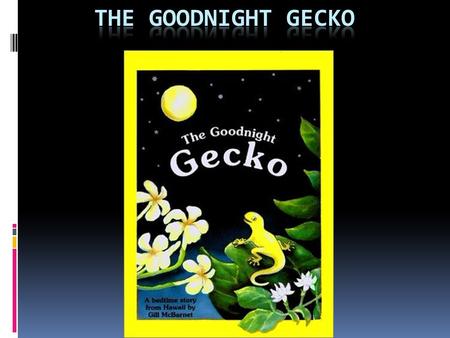 The Theme:  A bedtime story with an underlying theme of finding out who you are with the help of your family  Sub-theme:  Taking risk and exploring.