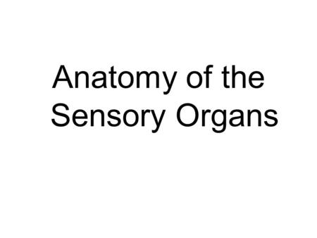 Anatomy of the Sensory Organs