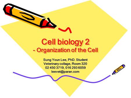 Cell biology 2 - Organization of the Cell Sung Youn Lee, PhD. Student Veterinary collage, Room 320 02 450 3719, 016 293 6059