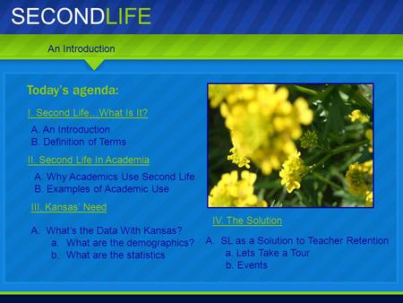 SECONDLIFE Today’s agenda: I. Second Life…What Is It? A. An Introduction B. Definition of Terms III. Kansas’ Need IV. The Solution A.SL as a Solution to.