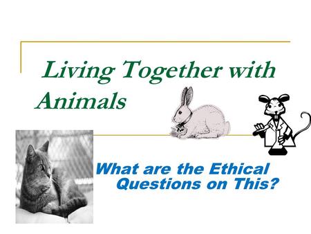 Living Together with Animals What are the Ethical Questions on This?