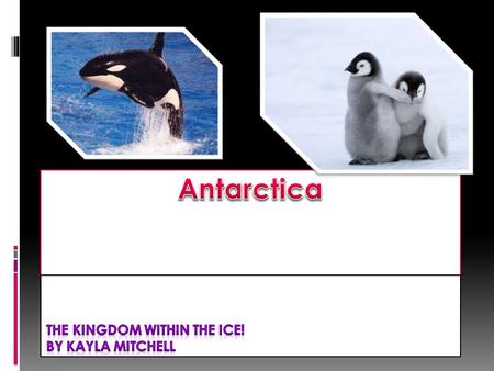 Map West ice shelf 16370 km2 Rothera Station owned buy the UK. Davis Station owned by Australia. Amundsen sea Southern ocean Australia France.