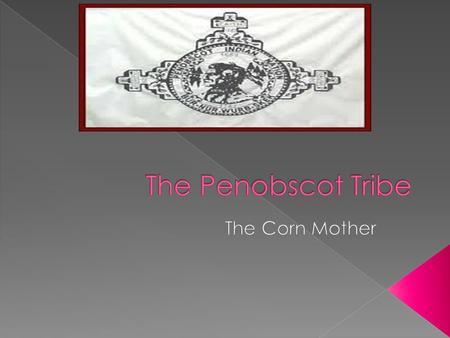  Penobscot— meaning Rockland or It Flows on the Rocks › Referred to a waterfall near their village of Old Town, Maine. › Descendants of Algonquian tribe.