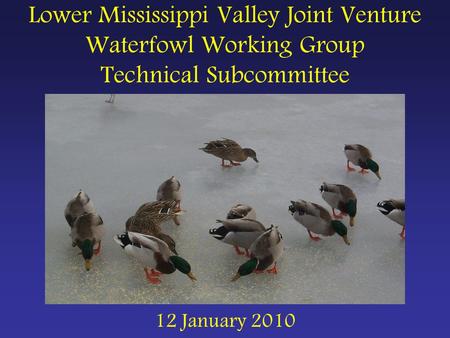 Lower Mississippi Valley Joint Venture Waterfowl Working Group Technical Subcommittee 12 January 2010.