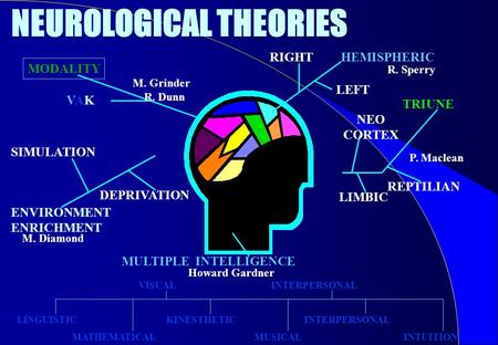 HEMISPHERIC R. Sperry LEFT RIGHT TRIUNE NEO CORTEX REPTILIAN LIMBIC P. Maclean MODALITY VAKVAK M. Grinder R. Dunn ENVIRONMENT ENRICHMENT SIMULATION DEPRIVATION.