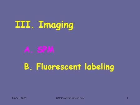 13 Oct. 2005GW Canters Leiden Univ1. Scanning Probe Microscopy (SPM) Atomic/scanning Force Microscopy Scanning Tunnelling Microscopy.