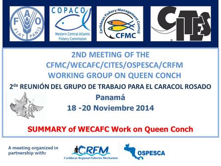 0 2ND MEETING OF THE CFMC/WECAFC/CITES/OSPESCA/CRFM WORKING GROUP ON QUEEN CONCH 2 da REUNIÓN DEL GRUPO DE TRABAJO PARA EL CARACOL ROSADO Panamá 18 -20.