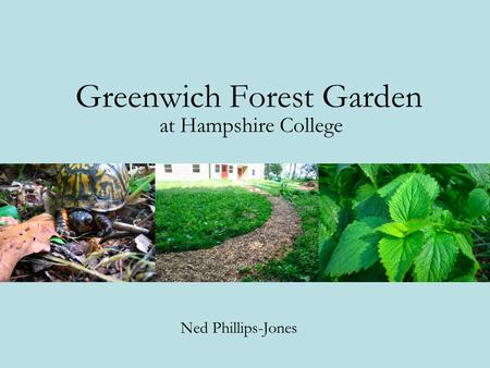 Greenwich Forest Garden