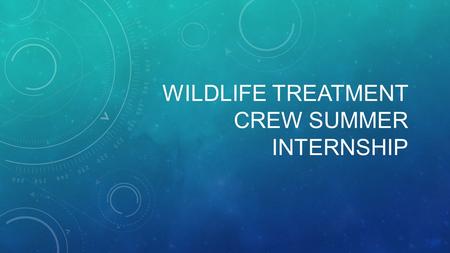 WILDLIFE TREATMENT CREW SUMMER INTERNSHIP. WHAT IS WILDLIFE TREATMENT CREW? A student run and organized course designed to expose veterinary underclassmen.