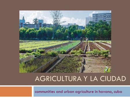 AGRICULTURA Y LA CIUDAD communities and urban agriculture in havana, cuba.