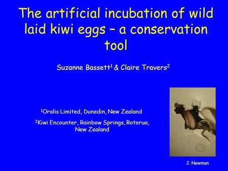 The artificial incubation of wild laid kiwi eggs – a conservation tool Suzanne Bassett 1 & Claire Travers 2 2 Kiwi Encounter, Rainbow Springs, Rotorua,