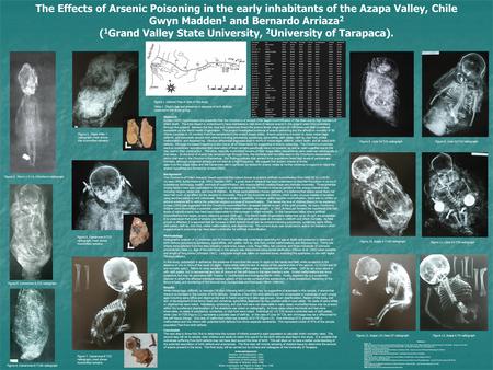 The Effects of Arsenic Poisoning in the early inhabitants of the Azapa Valley, Chile Gwyn Madden 1 and Bernardo Arriaza 2 ( 1 Grand Valley State University,