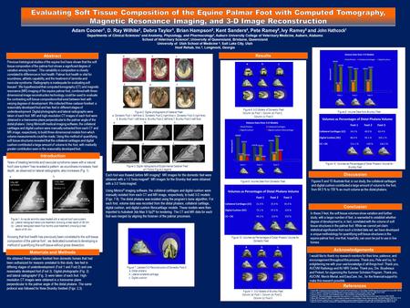 Years of treating laminitis and navicular syndrome cases with a natural hoof care system 3 has revealed a pattern: as soundness increases, heel depth,