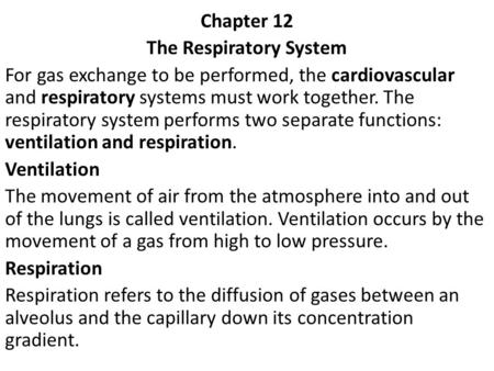 The Respiratory System